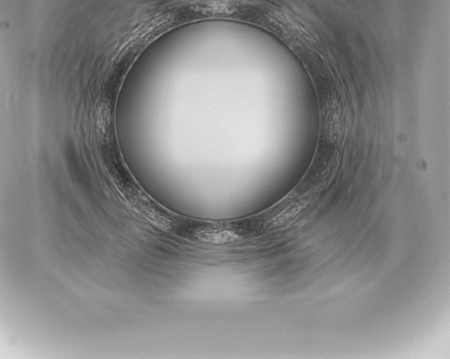 X0000060270747200511112046