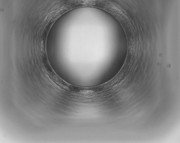 X0000060270748200511112046