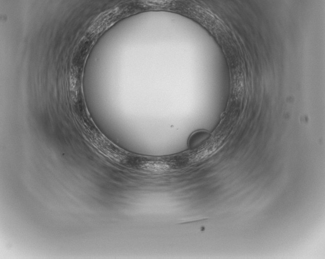 X0000060270749200511112046