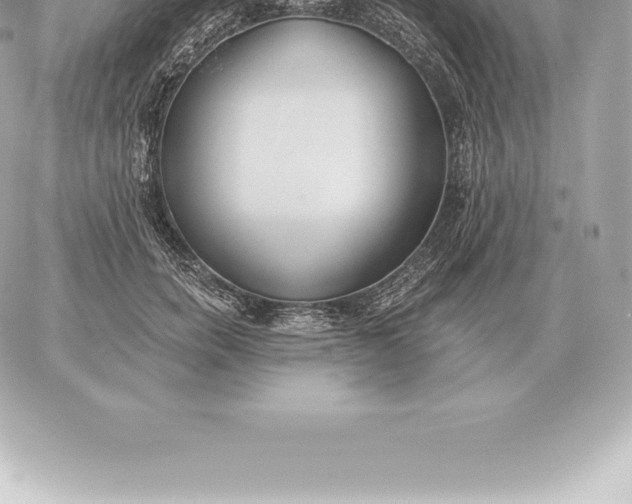 X0000060270750200511112046