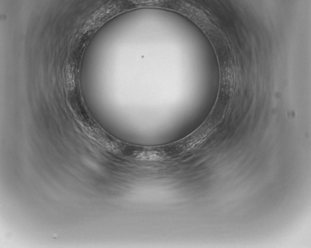 X0000060270751200511112047