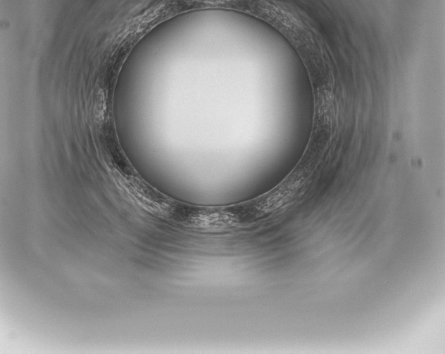 X0000060270752200511112047