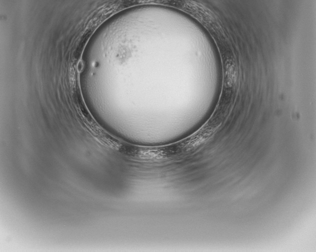 X0000060270753200511112047