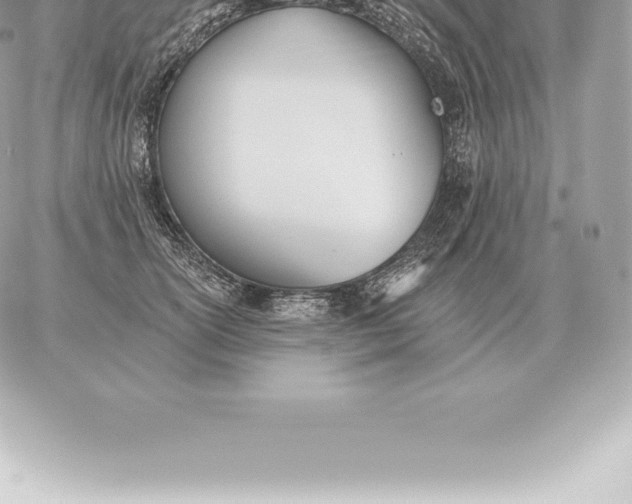 X0000060270754200511112047