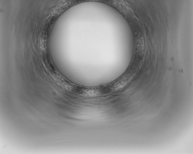 X0000060270755200511112047