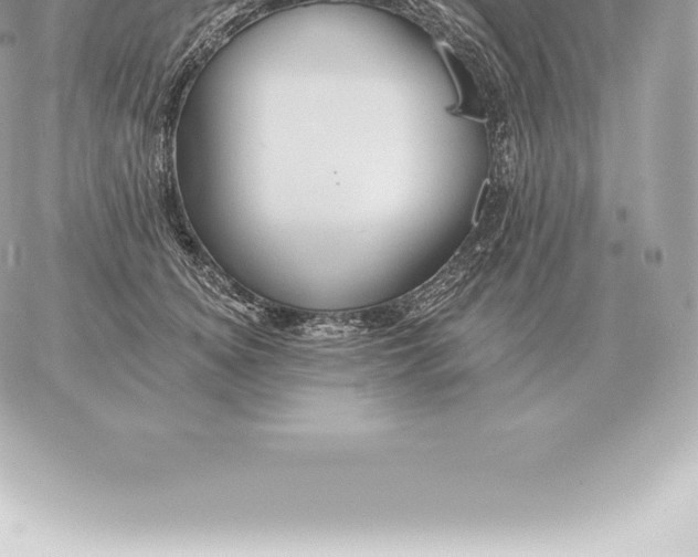 X0000060270756200511112047