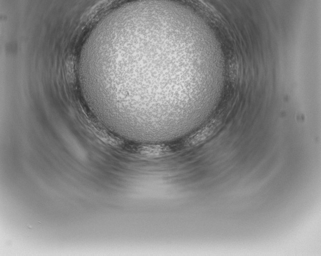 X0000060270757200511112047