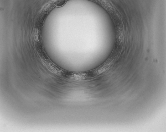 X0000060270758200511112047