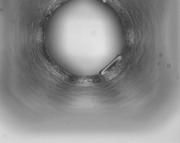 X0000060270760200511112047