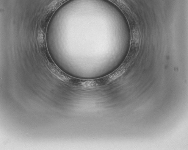 X0000060270761200511112047