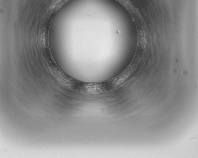 X0000060270762200511112047