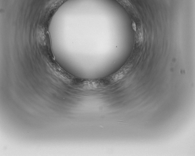 X0000060270764200511112047