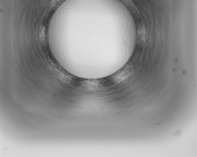 X0000060270765200511112047