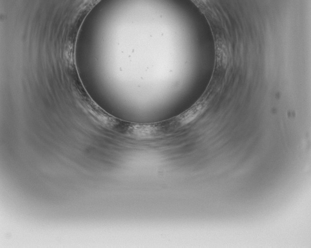 X0000060270766200511112047