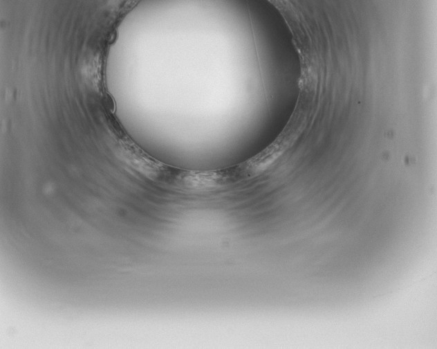 X0000060270767200511112047