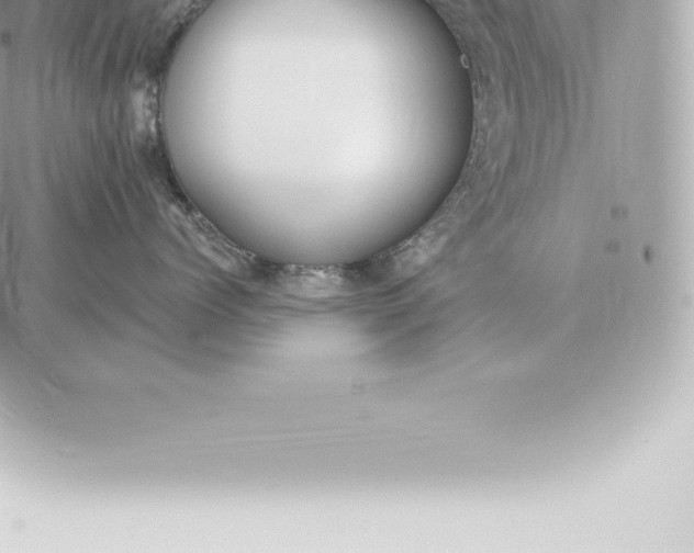 X0000060270768200511112047