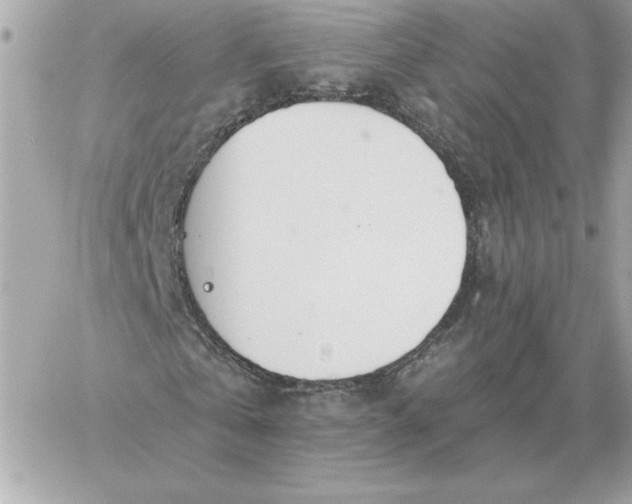 X0000060270769200511112046