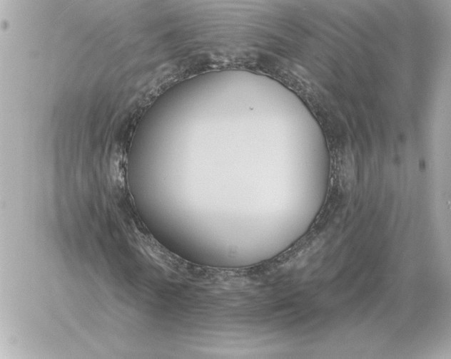 X0000060270770200511112046