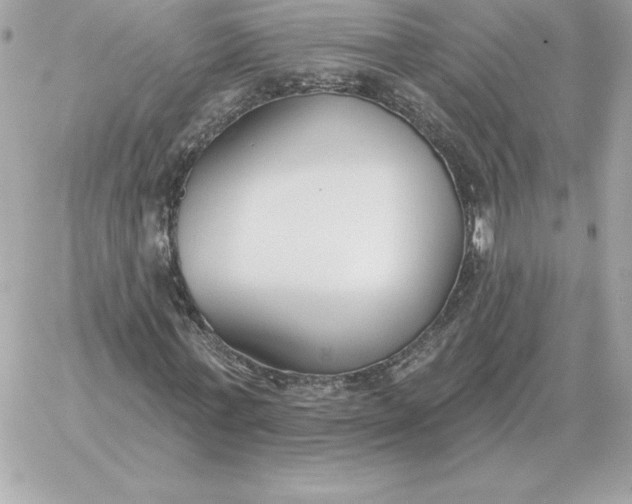 X0000060270771200511112046