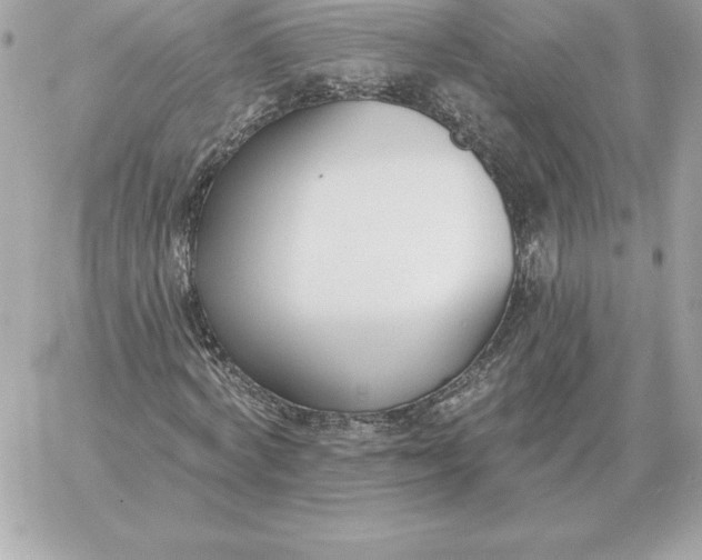 X0000060270772200511112046