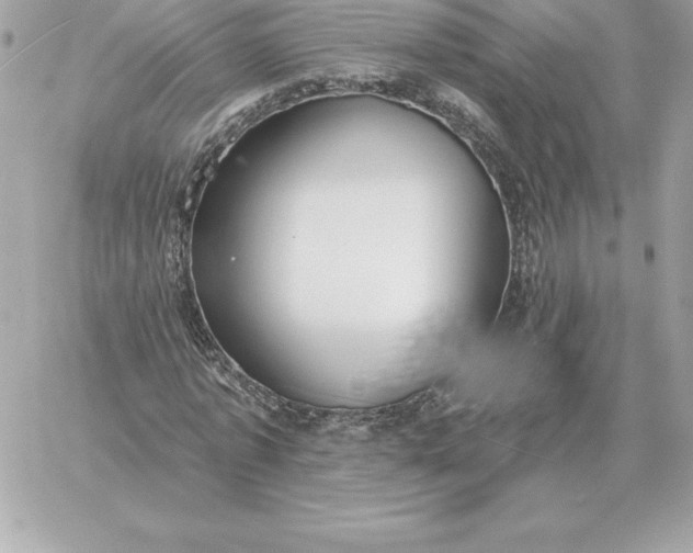 X0000060270773200511112046