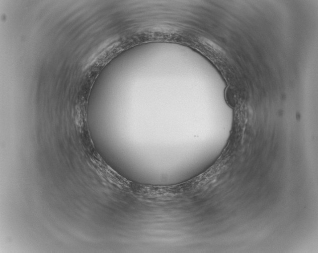 X0000060270774200511112046