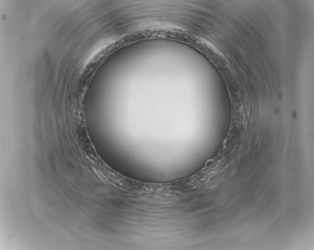 X0000060270775200511112046