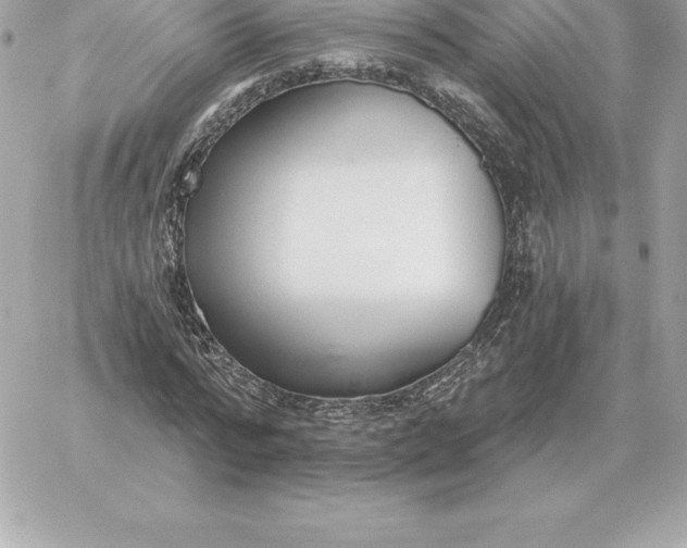 X0000060270776200511112046