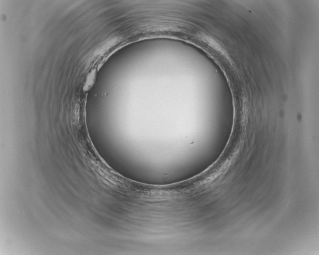 X0000060270777200511112046