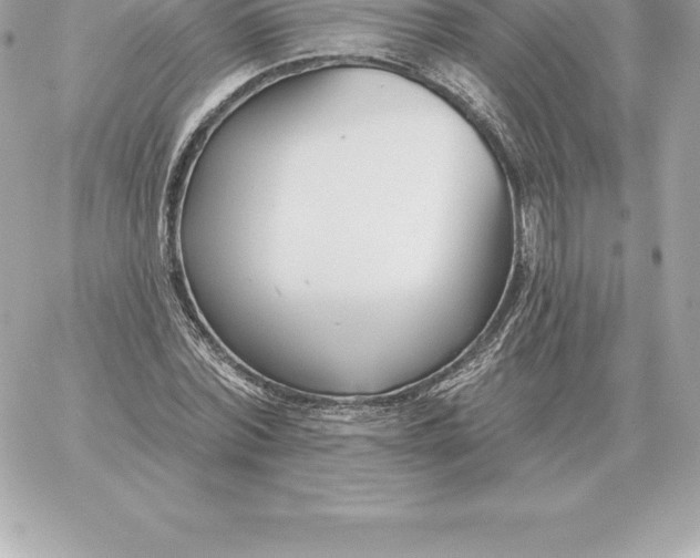 X0000060270780200511112046