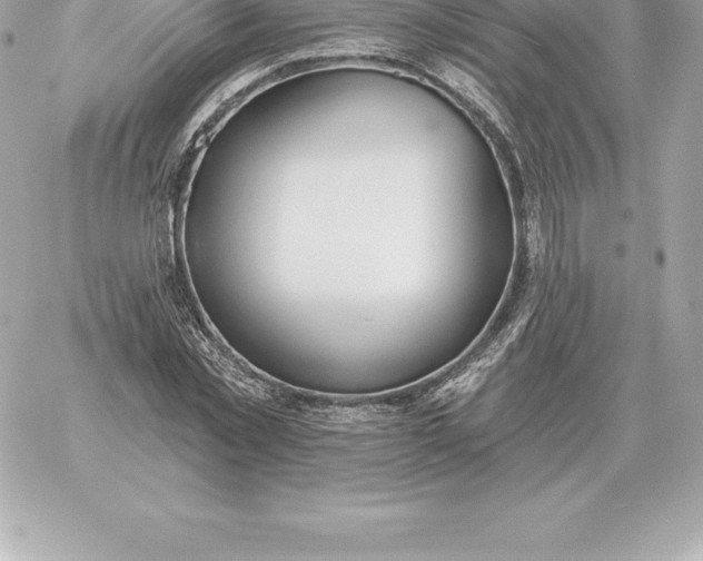 X0000060270781200511112046