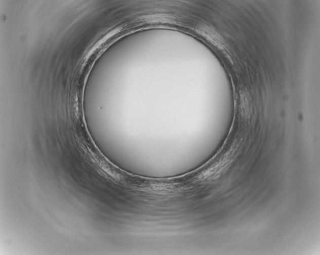 X0000060270782200511112046