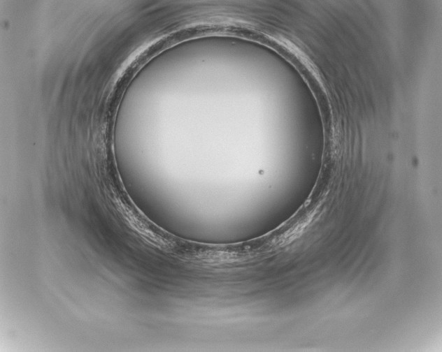 X0000060270783200511112046