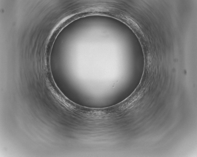 X0000060270784200511112046