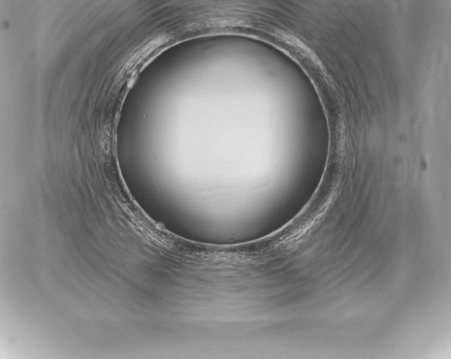 X0000060270785200511112046