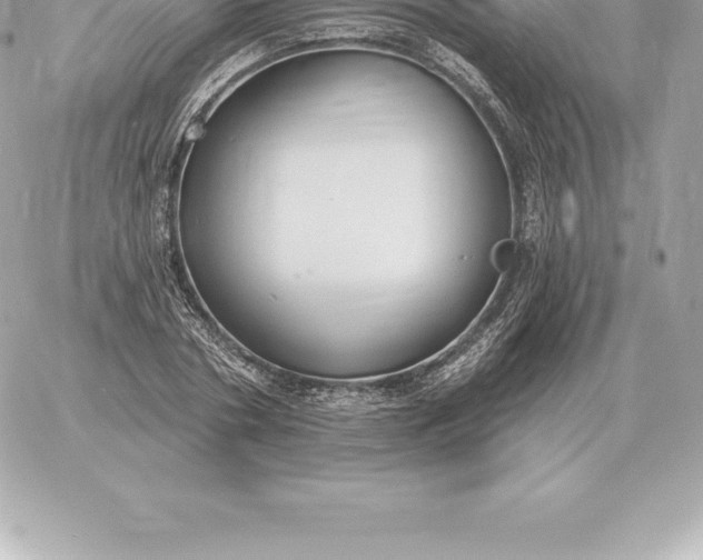 X0000060270786200511112046