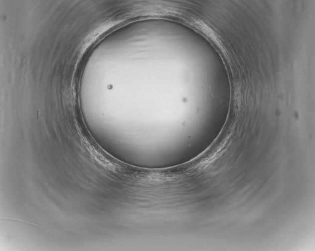 X0000060270787200511112046