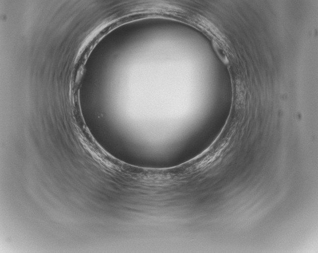 X0000060270788200511112046