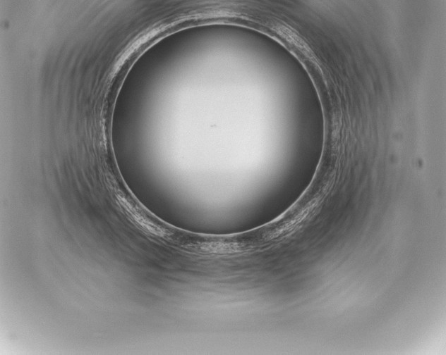 X0000060270789200511112046