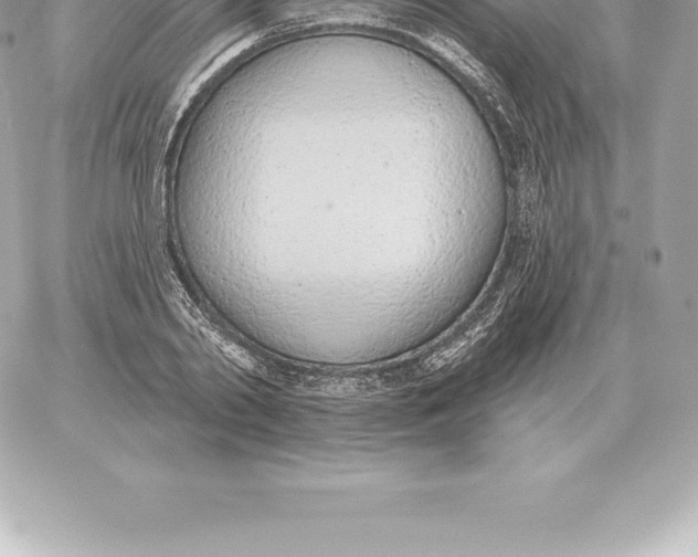 X0000060270790200511112046