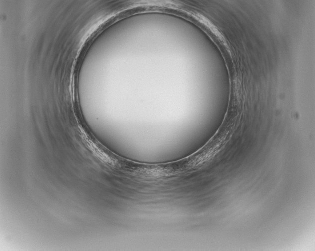 X0000060270791200511112046