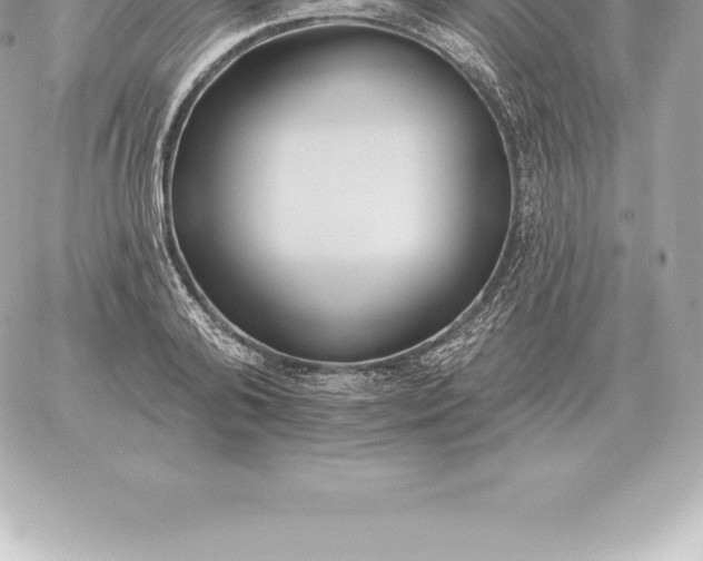 X0000060270792200511112046