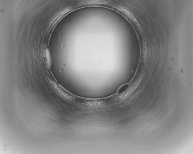 X0000060270793200511112046