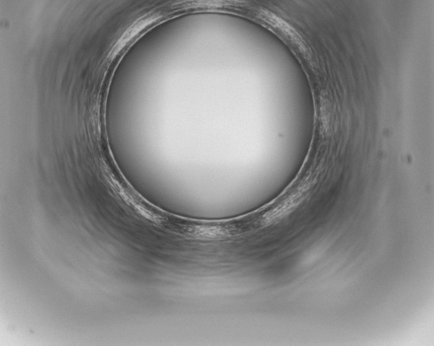 X0000060270794200511112046