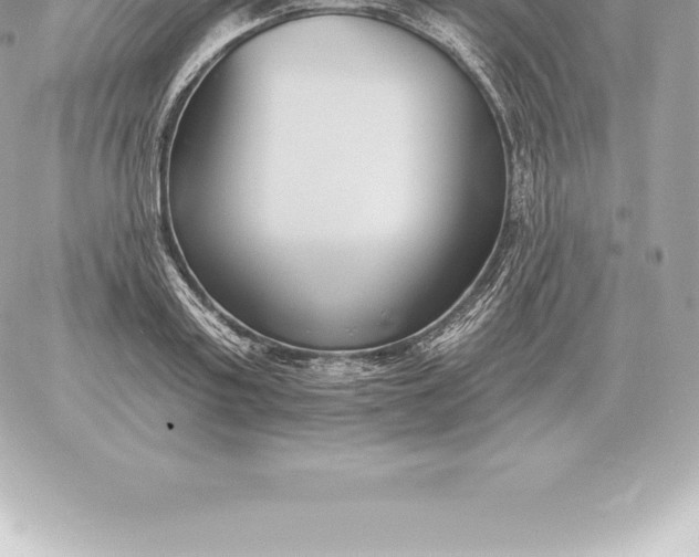 X0000060270795200511112046