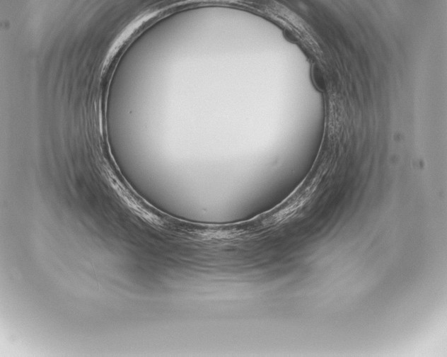 X0000060270796200511112046