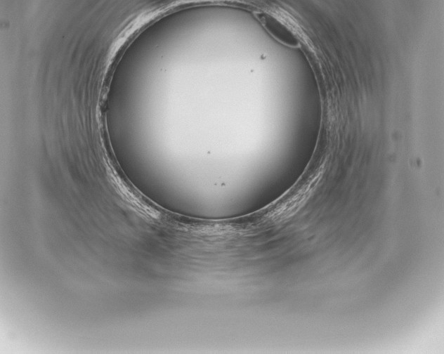 X0000060270797200511112046