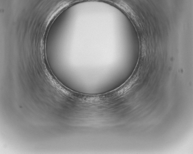 X0000060270798200511112046