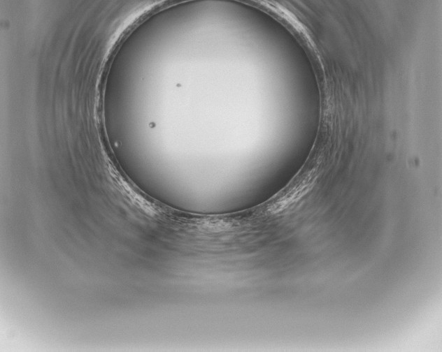 X0000060270799200511112045