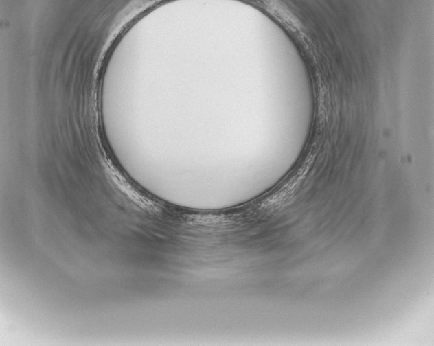 X0000060270800200511112045